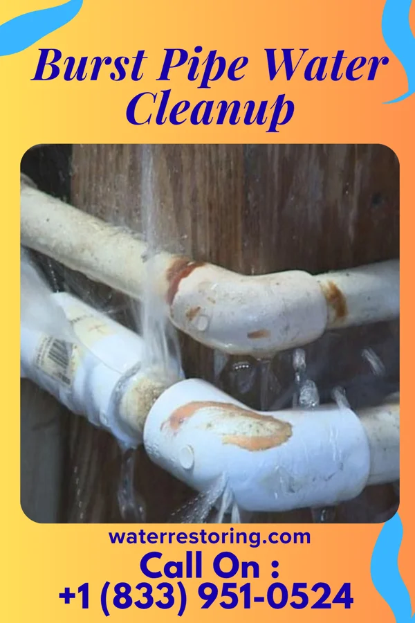 Burst Pipe Water Cleanup in Cheraw, CO
